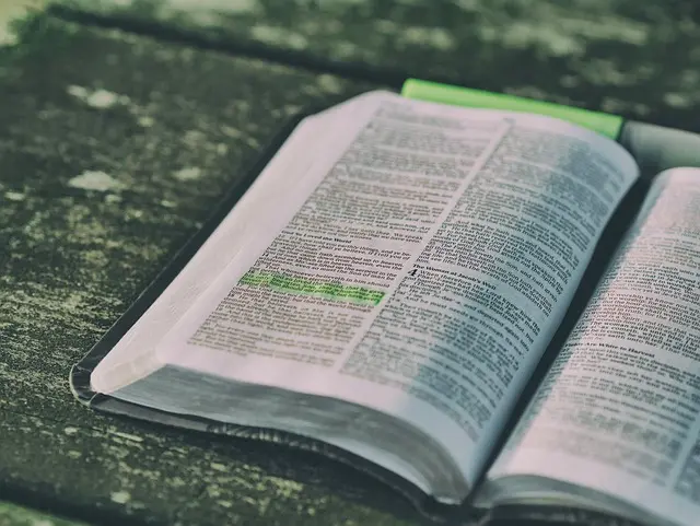 Cómo fomentar la lectura en casa: estrategias efectivas