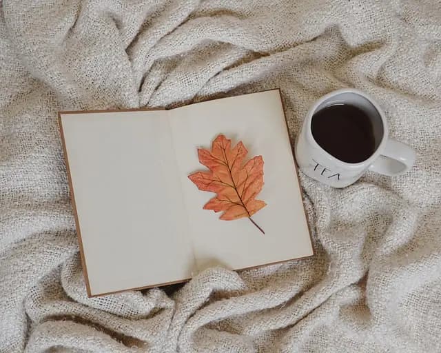 Cómo fomentar la lectura en casa: estrategias efectivas