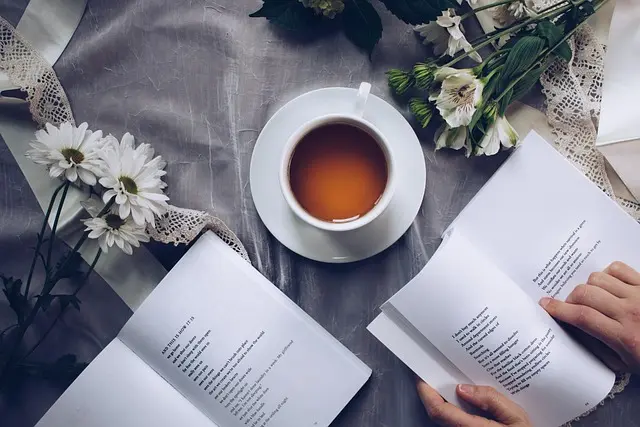 Cómo fomentar la lectura en casa: estrategias efectivas